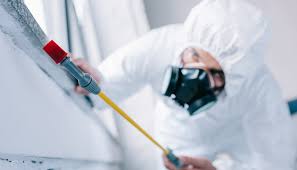 Professional Pest control in Lincoln Park, NY